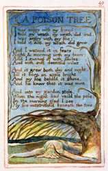 Ein Giftbaum: Platte 49 aus Songs of Innocence and of Experience (Kopie AA) ca. 1815-26